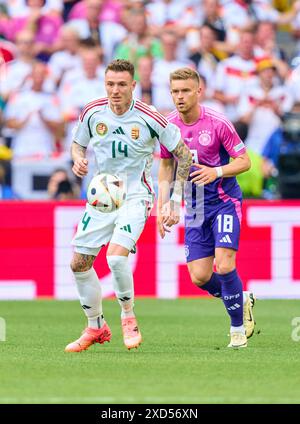 Stuttgart, Deutschland. Juni 2024. Bendeguz Bolla, HUN 14 wetteifern um den Ball, Tackling, Duell, Header, zweikampf, Aktion, Kampf gegen Maximilian Mittelstaedt, DFB 18 im Gruppenspiel DEUTSCHLAND - UNGARN 2-0 der UEFA-Europameisterschaften 2024 am 19. Juni 2024 in Stuttgart. Fotograf: ddp Images/STAR-Images Credit: ddp Media GmbH/Alamy Live News Stockfoto