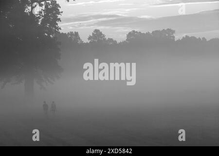 Sonnenaufgang Spaziergang Im Morgennebel Stockfoto