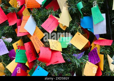 Nahaufnahme eines spanischen Träume- oder Wunschbaums mit handgeschriebenen Notizen von der Öffentlichkeit in einer Fußgängerzone Oviedo Asturias Spanien Stockfoto