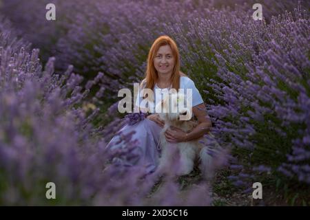 Eine Frau sitzt mit ihrem Hund auf einem Lavendelfeld Stockfoto
