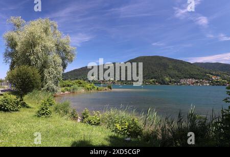 Tegernsee, Bayern, Deutschland 18. Juni 2024 hier der Blick auf den Tegernsee Landkreis Miesbach hier an der Seepromenade in Bad Wiessee mit Blick auf den See *** Tegernsee, Bavaria, Deutschland 18 Juni 2024 hier der Blick auf den Tegernseer Stadtteil Miesbach hier an der Seepromenade in Bad Wiessee mit Blick auf den See Stockfoto