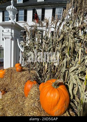 Das historische Ropes Mansion in Salem Massachusetts ist zu Halloween mit Kürbissen und Heuballen an einem Herbsttag dekoriert und war Drehort Stockfoto