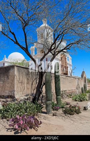 Kaktusgärten vor den Mauern im Innenhof um die San Xavier del Bac Mission Church — Tucson Arizona, April 2024 Stockfoto