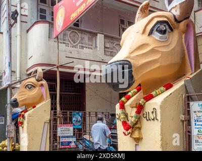 06 15 2024 Vintage Old Art Deco Stuckarbeit Cow hatte an der Verbundwand des Old Art Deco Gebäudes Gaiwadi Girgaon Mumbai Maharashtra Indien Asien. Stockfoto