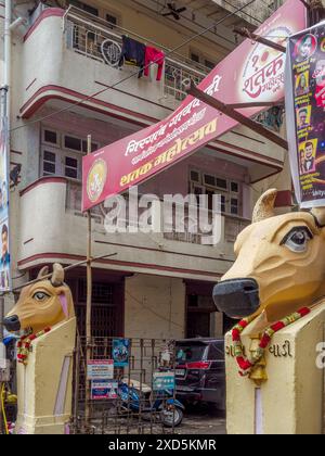 06 15 2024 Vintage Old Art Deco Stuckarbeit Cow hatte an der Verbundwand des Old Art Deco Gebäudes Gaiwadi Girgaon Mumbai Maharashtra Indien Asien. Stockfoto