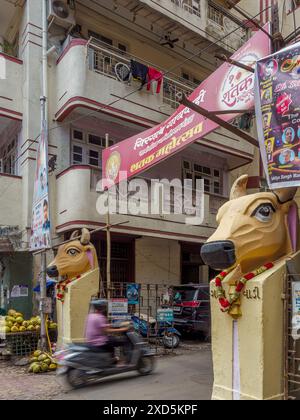 06 15 2024 Vintage Old Art Deco Stuckarbeit Cow hatte an der Verbundwand des Old Art Deco Gebäudes Gaiwadi Girgaon Mumbai Maharashtra Indien Asien. Stockfoto