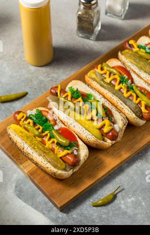 Hot Dogs im Chicago-Stil mit Senf-Relish und Sport-Paprika Stockfoto