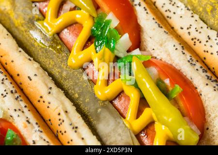 Hot Dogs im Chicago-Stil mit Senf-Relish und Sport-Paprika Stockfoto