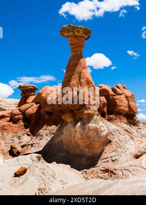 Paria Rimrocks Toadstool Hoodoos befindet sich im Grand Staircase-Escalante National Monument. Toadstools sind ein großartiger Ort zum Erkunden. Kanab, Utah Stockfoto