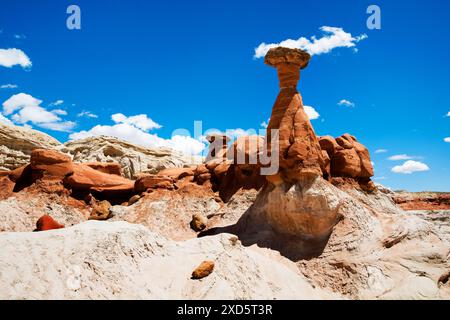 Paria Rimrocks Toadstool Hoodoos befindet sich im Grand Staircase-Escalante National Monument. Toadstools sind ein großartiger Ort zum Erkunden. Kanab, Utah Stockfoto