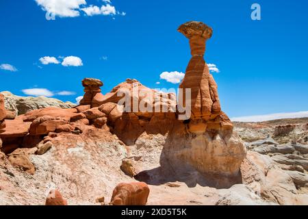 Paria Rimrocks Toadstool Hoodoos befindet sich im Grand Staircase-Escalante National Monument. Toadstools sind ein großartiger Ort zum Erkunden. Kanab, Utah Stockfoto