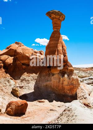 Paria Rimrocks Toadstool Hoodoos befindet sich im Grand Staircase-Escalante National Monument. Toadstools sind ein großartiger Ort zum Erkunden. Kanab, Utah Stockfoto