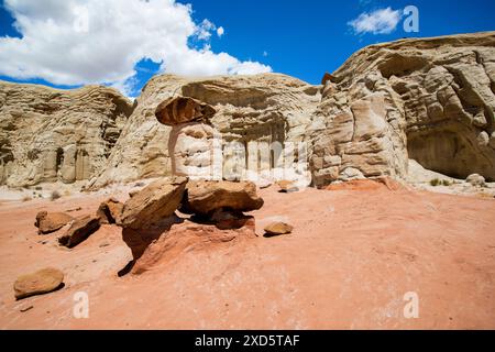 Paria Rimrocks Toadstool Hoodoos befindet sich im Grand Staircase-Escalante National Monument. Toadstools sind ein großartiger Ort zum Erkunden. Kanab, Utah Stockfoto