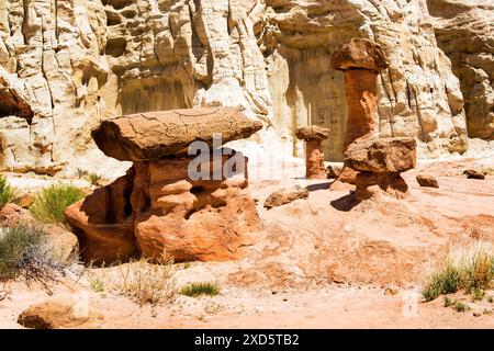 Paria Rimrocks Toadstool Hoodoos befindet sich im Grand Staircase-Escalante National Monument. Toadstools sind ein großartiger Ort zum Erkunden. Kanab, Utah Stockfoto