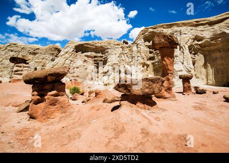 Paria Rimrocks Toadstool Hoodoos befindet sich im Grand Staircase-Escalante National Monument. Toadstools sind ein großartiger Ort zum Erkunden. Kanab, Utah Stockfoto