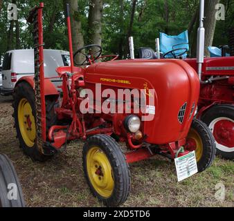 Itterbeck, Deutschland - 16. Juni 2024 ein Oldtimer-Traktor: Ein Porsche Diesel Junior F108 von 1959 Stockfoto