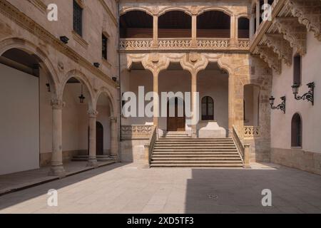 Spanien, Kastilien und Leon, Salamanca, Palazzo Salina 1538 im plateresken Stil erbaut, trägt der Palast den Namen La Salina, da er bis 1870 Sitz des Salztabak-Büros war. Stockfoto