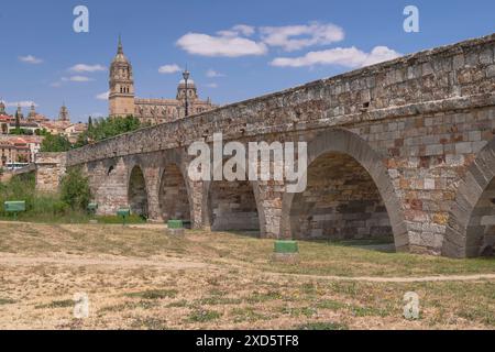 Spanien, Kastilien und Leon, Salamanca, die römische Brücke von Salamanca mit der Kathedrale von Salamanca dahinter. Stockfoto