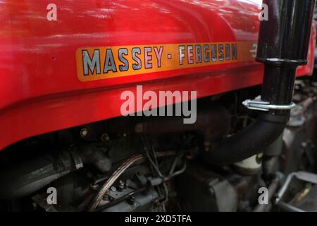 Itterbeck, Deutschland – 16. Juni 2024 Logo eines Oldtimer-Traktors: Massey Ferguson Stockfoto