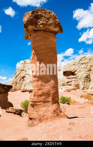 Paria Rimrocks Toadstool Hoodoos befindet sich im Grand Staircase-Escalante National Monument. Toadstools sind ein großartiger Ort zum Erkunden. Kanab, Utah Stockfoto