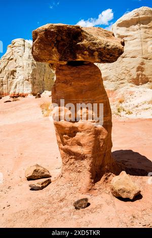 Paria Rimrocks Toadstool Hoodoos befindet sich im Grand Staircase-Escalante National Monument. Toadstools sind ein großartiger Ort zum Erkunden. Kanab, Utah Stockfoto