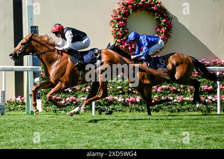 Ascot Racecourse, Berkshire, Großbritannien. Juni 2024. Royal Ascot Horse Racing, Ladies Day 3; Kyprios geritten von Ryan Moore trainiert von Einem P O'Brien schlägt Trawlerman geritten von William Buick trainiert von John &amp; Thady Gosden an die Linie und gewinnt Rennen 4; The Gold Cup Credit: Action Plus Sports/Alamy Live News Stockfoto