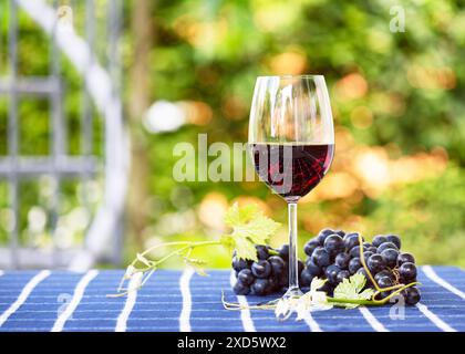 Ein Glas Rotwein und ein Haufen reifer Trauben auf dem Tisch in einem Hüttengarten. Rustikaler Stil. Ästhetisches Getränkekonzept. Kopierbereich Stockfoto