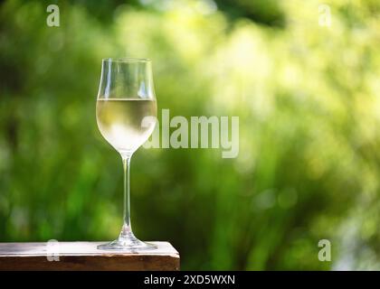 Weinglas mit eiskaltem Weißwein im Freien bei Sonnenuntergang. Exquisiter Weißwein in einem Glas vor dem Hintergrund des Gartens Stockfoto