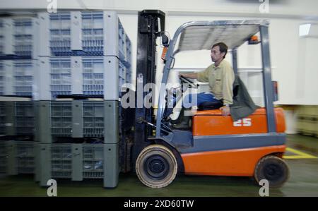 Bearbeiten von Thunfisch auf dem Fischmarkt. Getaria. Guipúzcoa. Baskisches Land. Spanien Stockfoto