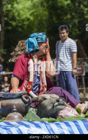 Chiang Mai, Thailand. Juni 2024. (ANMERKUNG DER REDAKTION: Bild enthält Grafikinhalte) Ein von Geistern besessener Thai-Mann wäscht sein Gesicht während des Festivals mit Büffelblut. Das Festival ist einzigartig und wird nicht oft von Außenstehenden beobachtet, sondern wird jährlich in den Ausläufern des Doi Kham Mountain veranstaltet, um zwei alten Riesengeister, Pu SAE und Ya SAE, zu ehren. Quelle: SOPA Images Limited/Alamy Live News Stockfoto