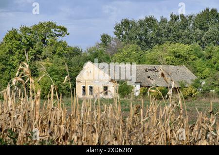 Verlassene 'salaš' auf dem Land von Vojvodina, Serbien Stockfoto