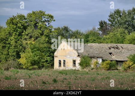 Verlassene „salaš“ auf dem Land von Vojvodina, Serbien (2) Stockfoto