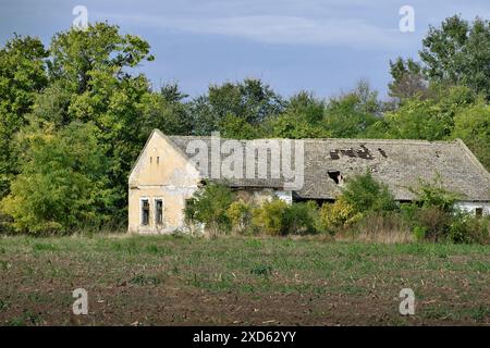 Verlassene „salaš“ auf dem Land von Vojvodina, Serbien (2) Stockfoto