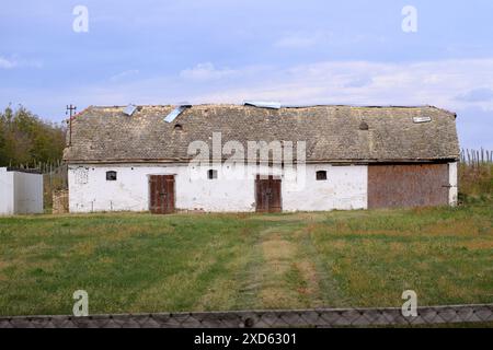 Verlassene „salaš“ auf dem Land von Vojvodina, Serbien (3) Stockfoto