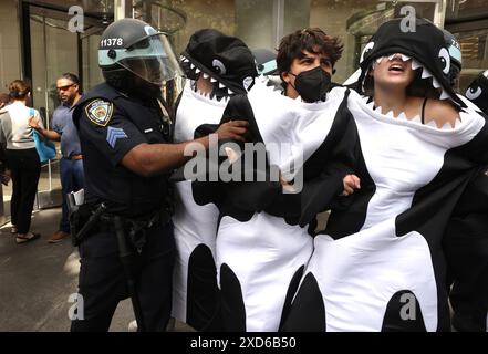 New York, Usa. Juni 2024. Umweltaktivisten, die als Orcas verkleidet sind, werden während der Kundgebung vom NYPD verhaftet. Die Aktionen im Sommer der Hitze haben begonnen und die Proteste werden von Stop the Money Pipeline and Extinction Rebellion geführt. Die Demonstranten kämpften für den Klimawandel und das Bewusstsein für die Schäden an fossilen Brennstoffen auf dem Planeten, die von Unternehmen wie der Citibank finanziert werden. Quelle: SOPA Images Limited/Alamy Live News Stockfoto