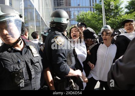 New York, Usa. Juni 2024. Ein Umweltaktivist, der als Orca verkleidet ist, wird während der Kundgebung vom NYPD verhaftet. Die Aktionen im Sommer der Hitze haben begonnen und die Proteste werden von Stop the Money Pipeline and Extinction Rebellion geführt. Die Demonstranten kämpften für den Klimawandel und das Bewusstsein für die Schäden an fossilen Brennstoffen auf dem Planeten, die von Unternehmen wie der Citibank finanziert werden. (Foto: Susan Stava/SOPA Images/SIPA USA) Credit: SIPA USA/Alamy Live News Stockfoto