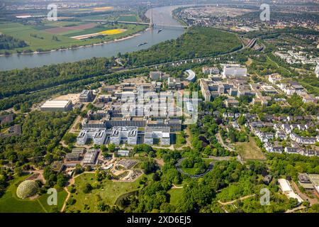 Aus der Vogelperspektive, Heinrich-Heine-Universität, Rhein und Fleher-Brücke, Fleher-Wald, unter dem Gewächshaus des Botanischen Gartens und der Alpinpflanze, Bilk, Stockfoto