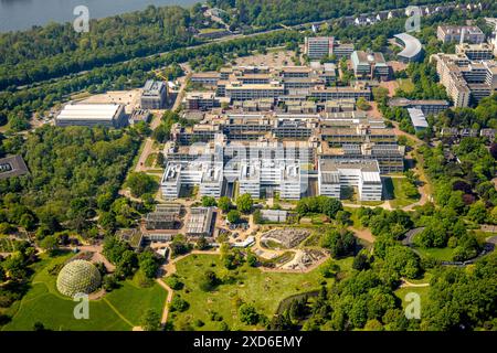 Luftaufnahme, Heinrich-Heine-Universität, unterhalb des Gewächshauses Botanischer Gartendom und der Alpinpflanze, Bilk, Düsseldorf, Rheinland, Nordrhein-Westfalen, Stockfoto