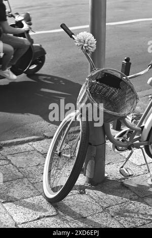 Fahrrad mit einem Korb an der Vorderseite, das auf einer sonnigen Straße in Schwarz-weiß geparkt ist Stockfoto