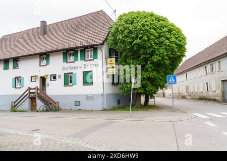 Friesenheim, Deutschland - 29. April 2023: Ein traditionelles deutsches Gästehaus mit grünen Fensterläden und einem großen Baum davor. Auf dem Schild auf dem Gebäude steht Gas Stockfoto