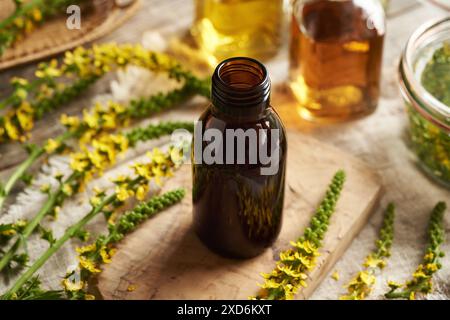 Eine dunkle Flasche Kräutertinktur mit frisch blühender Agrarpflanze. Alternative Medizin. Stockfoto