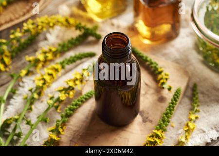 Eine dunkle Flasche Kräutertinktur mit frisch blühender Agrarpflanze Stockfoto