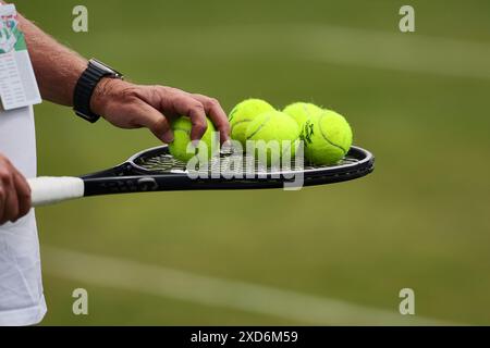 Halle Westf, Westfalen, Deutschland. Juni 2024. Impressionen im Jahre 31. TERRA WORTMANN OPEN, ATP500 - Herren Tennis (Bild: © Mathias Schulz/ZUMA Press Wire) NUR REDAKTIONELLE VERWENDUNG! Nicht für kommerzielle ZWECKE! Stockfoto