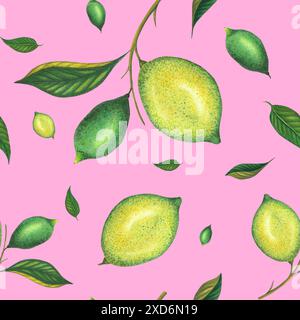 Aquarell nahtloses Limettenmuster mit grünen Zitronen und Limettenzweig mit Blättern. Handgemalte gelbe Früchte isoliert auf rosafarbenem Hintergrund. Frische Zitrusfrüchte Stockfoto