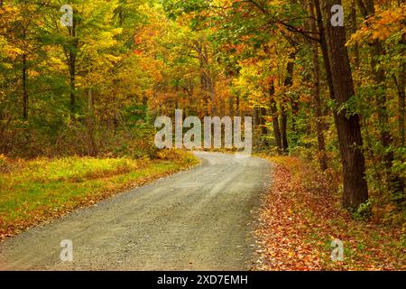 Herbststraße im Promise Land State Park Stockfoto