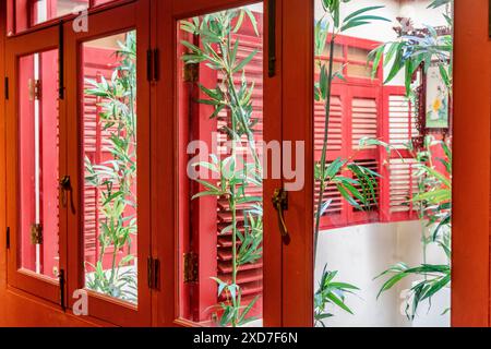 Malerische Bambusbäume wachsen im Innenhof eines traditionellen chinesischen Hauses. Tolle alte rote Fenster in Singapur. Fantastisches asiatisches Interieur. Stockfoto