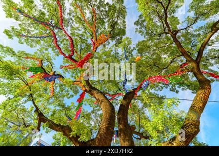 Seoul, Südkorea - 15. Oktober 2017: Farbenfrohe Unteransicht des grünen Baumes mit Papierlaternen und Blumen im Garten des Jogyesa-Tempels. Stockfoto