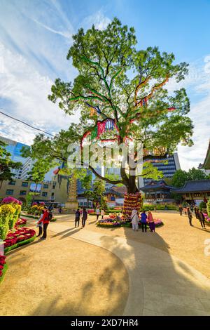 Seoul, Südkorea - 15. Oktober 2017: Fantastischer farbenfroher Blick auf grünen Baum, der mit Papierlaternen und Blumen im Garten des Jogyesa-Tempels dekoriert ist. Stockfoto