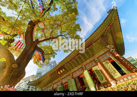 Seoul, Südkorea - 15. Oktober 2017: Farbenfrohe Unteransicht des grünen Baumes mit Papierlaternen und Blumen im Garten des Jogyesa-Tempels. Stockfoto