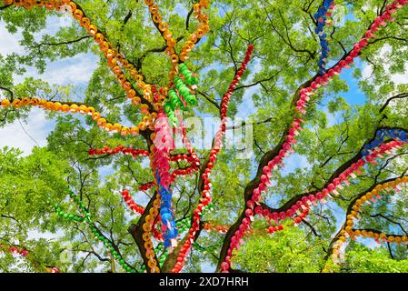 Seoul, Südkorea - 15. Oktober 2017: Fantastischer, farbenfroher Blick auf grünen Baum, der mit Papierlaternen im Garten des Jogyesa-Tempels dekoriert ist. Stockfoto